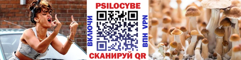 Псилоцибиновые грибы мицелий  купить наркоту  Салаир 