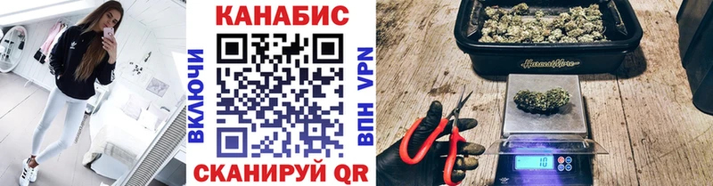 Канабис гибрид Салаир